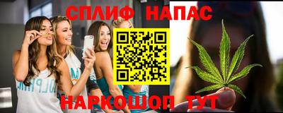 индика Пыть-Ях