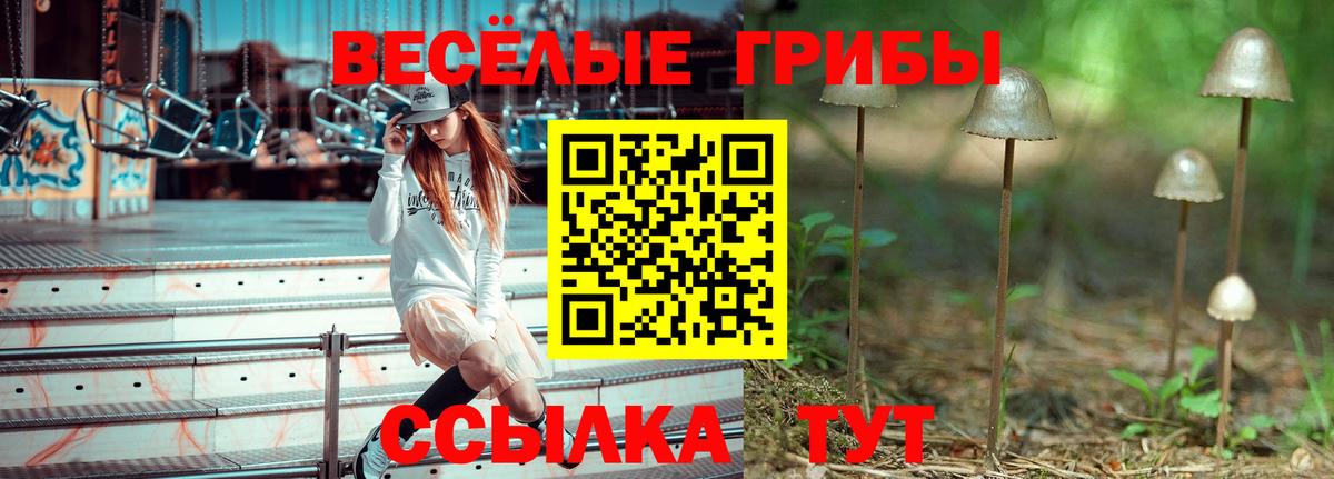 Псилоцибиновые грибы ЛСД Полысаево
