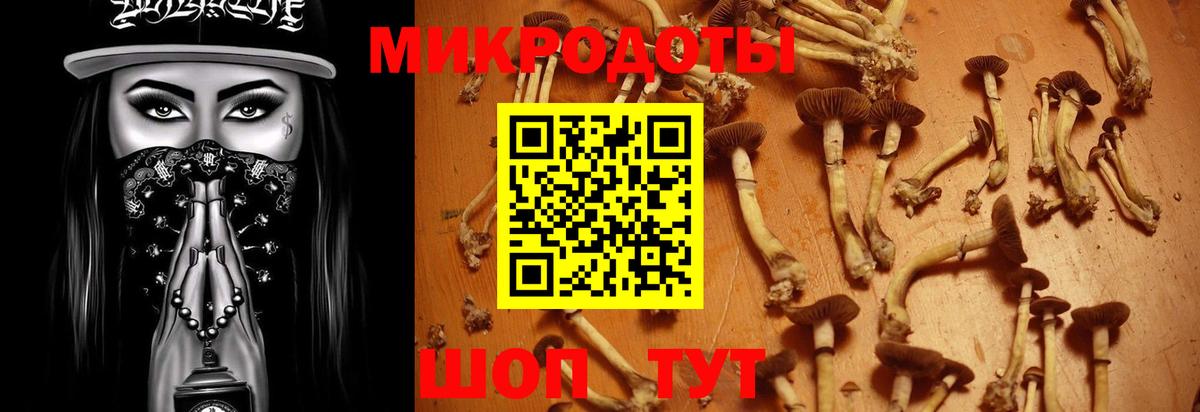 Полысаево  Псилоцибиновые грибы Psilocybine cubensis  Вход с VPN 